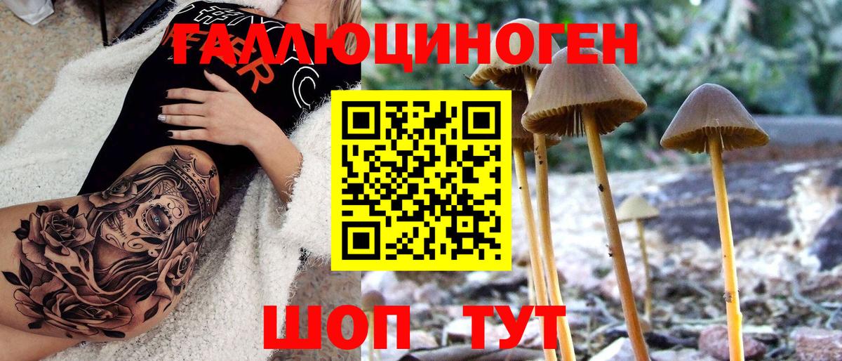 Псилоцибиновые грибы Magic Shrooms  Вход с VPN  Ачхой-Мартан 