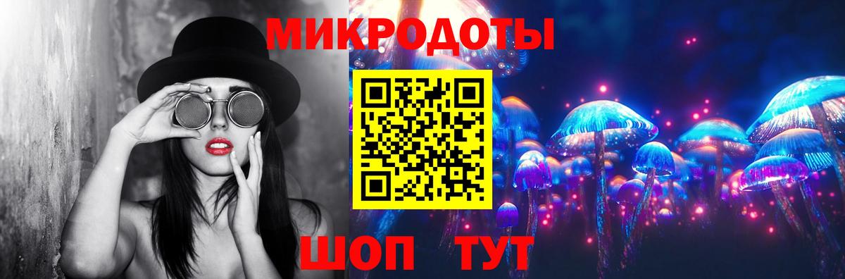 Псилоцибиновые грибы Cubensis Ачхой-Мартан
